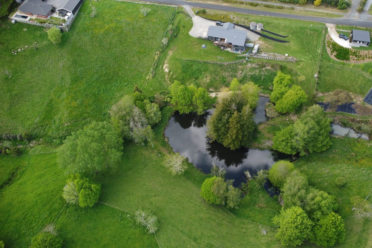 Aerial view showcasing the lush green rural landscape and pond in Hamilton, New Zealand.
