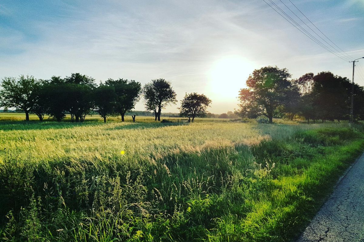 Peaceful rural landscape during sunset in Radom, Poland with lush green fields.