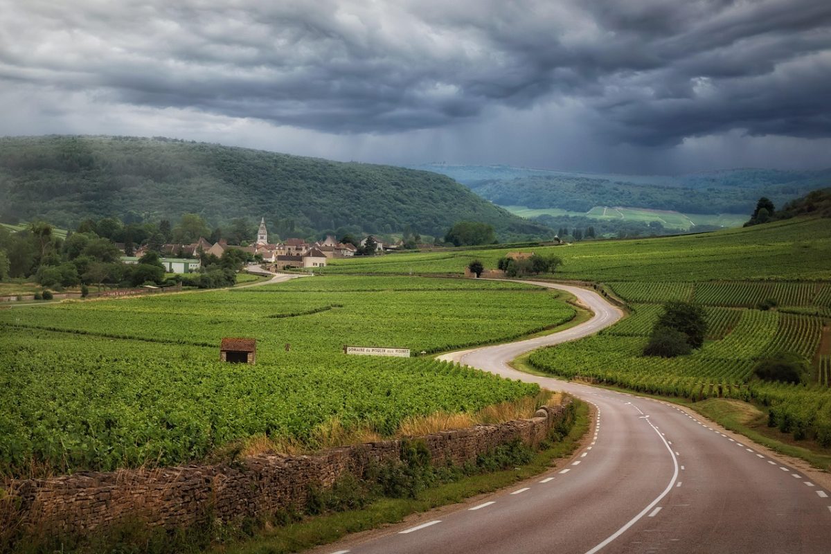 road, vineyards, clouds, burgundy, france, landscape, road, road, road, burgundy, burgundy, france, nature, france, france, france, france