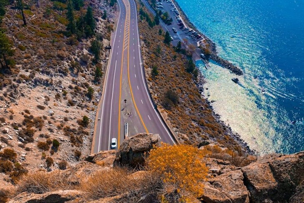 aerial view of road near body of water during daytime