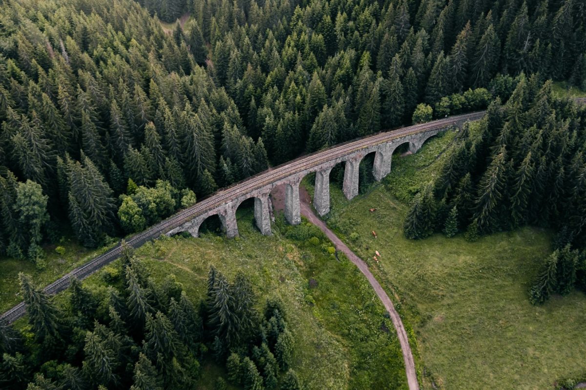 gray concrete bridge on green grass field