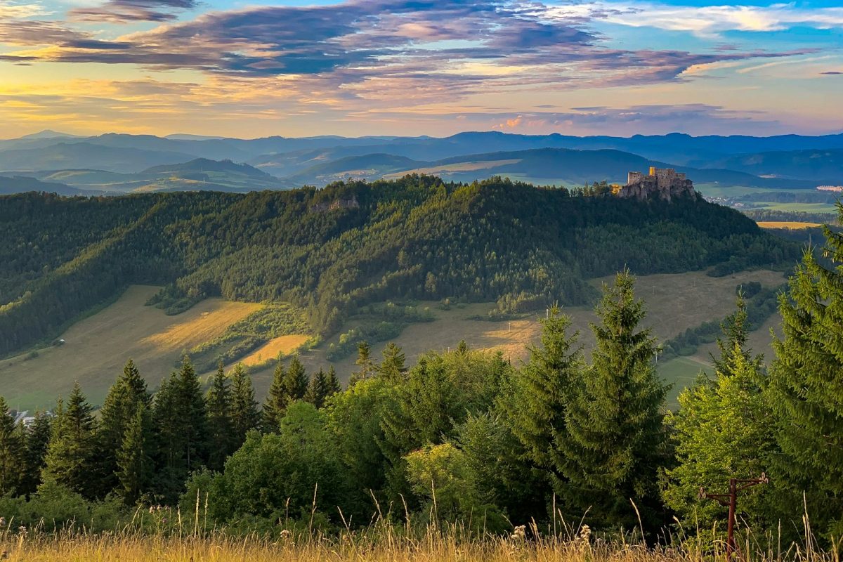 green trees on mountain during daytime