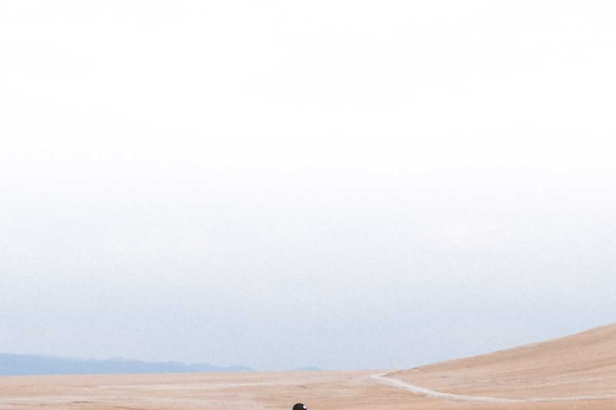 man riding horse on grass field