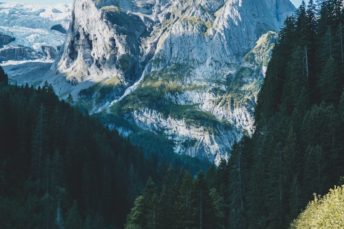 close-up photography of mountain